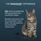 Show in main carousel: Nutramax Dasuquin Hip & Joint Capsules Joint Supplement for Cats, 84 count slide 6 of 11