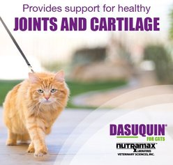 Nutramax Dasuquin Hip & Joint Capsules Joint Supplement for Cats, 84 count slide 2 of 9
