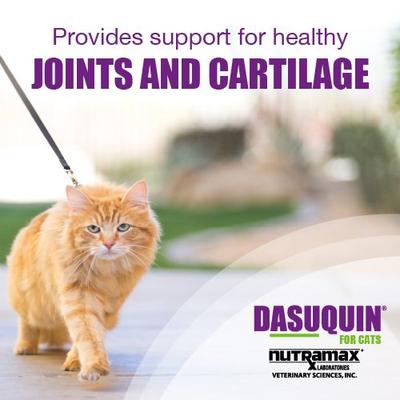 Show full view: Nutramax Dasuquin Hip & Joint Capsules Joint Supplement for Cats, 84 count slide 3 of 12