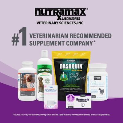 Show full view: Nutramax Dasuquin Hip & Joint Capsules Joint Supplement for Cats, 84 count slide 9 of 12