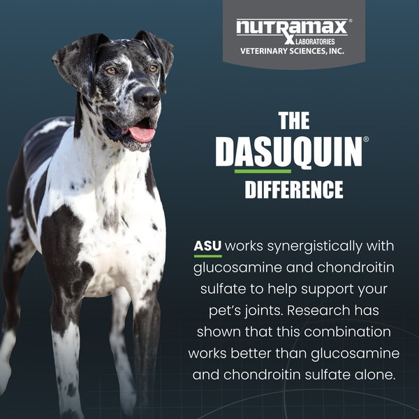 Nutramax Dasuquin Hip & Joint Chewable Tablets Joint Supplement for Large Dogs