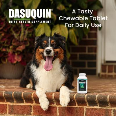 Show full view: Nutramax Dasuquin Hip & Joint Chewable Tablets Joint Supplement for Large Dogs, 150 count slide 5 of 13
