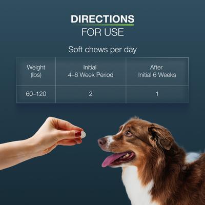 Show full view: Nutramax Dasuquin Hip & Joint Chewable Tablets Joint Supplement for Large Dogs, 150 count slide 10 of 13