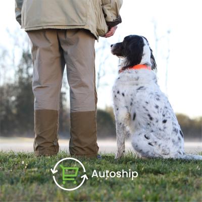 Show full view: Nutramax Dasuquin Hip & Joint Chewable Tablets Joint Supplement for Large Dogs, 84 count slide 9 of 13