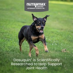 Nutramax Dasuquin Hip & Joint Chewable Tablets Joint Supplement for Small & Medium Dogs, 150 count slide 2 of 9