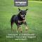 Show in main carousel: Nutramax Dasuquin Hip & Joint Chewable Tablets Joint Supplement for Small & Medium Dogs, 150 count slide 3 of 13