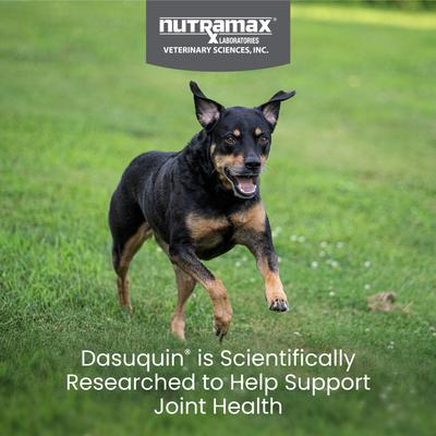 Show full view: Nutramax Dasuquin Hip & Joint Chewable Tablets Joint Supplement for Small & Medium Dogs, 150 count slide 3 of 13