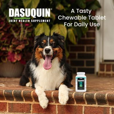 Show full view: Nutramax Dasuquin Hip & Joint Chewable Tablets Joint Supplement for Small & Medium Dogs, 150 count slide 5 of 13