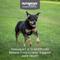 Show in main carousel: Nutramax Dasuquin Hip & Joint Chewable Tablets Joint Supplement for Small & Medium Dogs, 84 count slide 3 of 13
