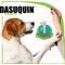 Show in main carousel: Nutramax Dasuquin Hip & Joint Soft Chew Joint Supplement for Small to Medium Dogs, 168 count slide 4 of 10