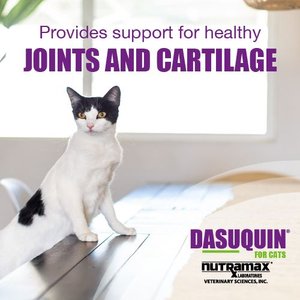 Nutramax Dasuquin Hip & Joint Soft Chews Joint Supplement for Cats, 84 count