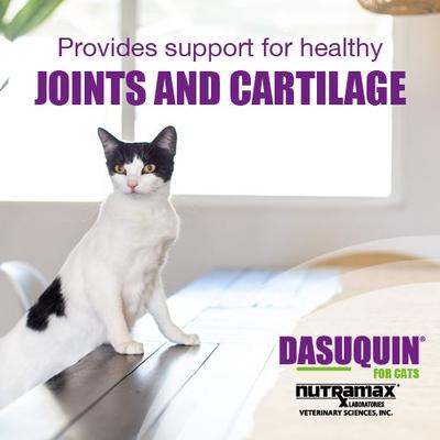 Show full view: Nutramax Dasuquin Hip & Joint Soft Chews Joint Supplement for Cats, 84 count slide 3 of 12