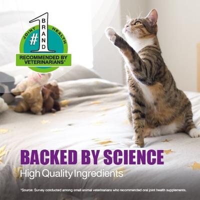 Show full view: Nutramax Dasuquin Hip & Joint Soft Chews Joint Supplement for Cats, 84 count slide 5 of 12