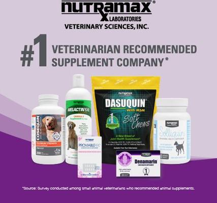 Show full view: Nutramax Dasuquin Hip & Joint Soft Chews Joint Supplement for Cats, 84 count slide 9 of 12