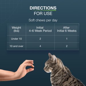 Nutramax Dasuquin Hip & Joint Soft Chews Joint Supplement for Cats, 84 count