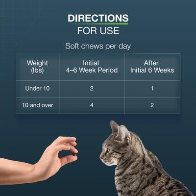Show full view: Nutramax Dasuquin Hip & Joint Soft Chews Joint Supplement for Cats, 84 count slide 9 of 12