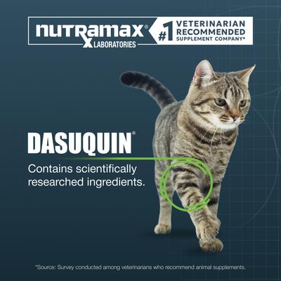 Show full view: Nutramax Dasuquin Hip & Joint Soft Chews Joint Supplement for Cats, 84 count slide 3 of 12
