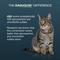 Show in main carousel: Nutramax Dasuquin Hip & Joint Soft Chews Joint Supplement for Cats, 84 count slide 6 of 12