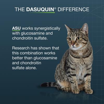 Show full view: Nutramax Dasuquin Hip & Joint Soft Chews Joint Supplement for Cats, 84 count slide 6 of 12