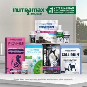 Nutramax Dasuquin Hip & Joint Soft Chews Joint Supplement for Cats, 84 count
