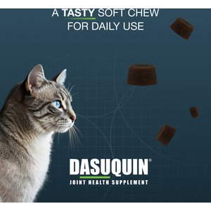 Nutramax Dasuquin Hip & Joint Soft Chews Joint Supplement for Cats, 84 count