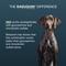 Show in main carousel: Nutramax Dasuquin Hip & Joint Soft Chews Joint Supplement for Large Dogs, 150 count slide 7 of 13