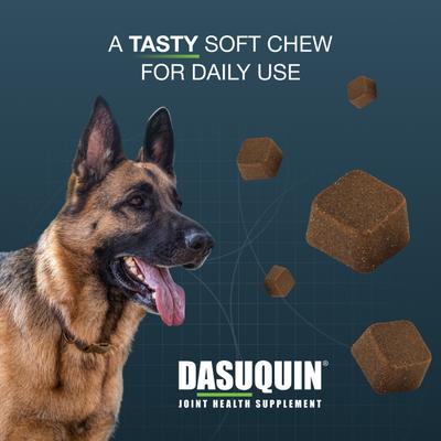 Show full view: Nutramax Dasuquin Hip & Joint Soft Chews Joint Supplement for Large Dogs, 150 count slide 5 of 13