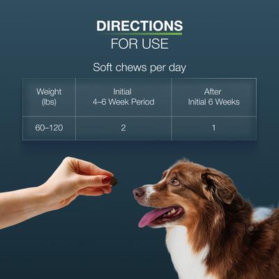 Show full view: Nutramax Dasuquin Hip & Joint Soft Chews Joint Supplement for Large Dogs, 150 count slide 10 of 13