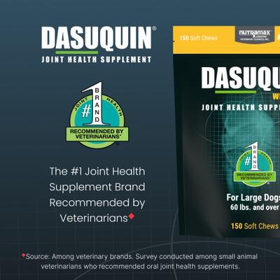 Show full view: Nutramax Dasuquin Hip & Joint Soft Chews Joint Supplement for Large Dogs, 150 count slide 4 of 13