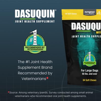 Show full view: Nutramax Dasuquin Hip & Joint Soft Chews Joint Supplement for Large Dogs, 84 count slide 4 of 13