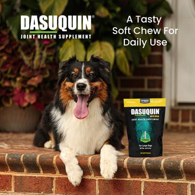 Show full view: Nutramax Dasuquin Hip & Joint Soft Chews Joint Supplement for Large Dogs, 84 count slide 5 of 13