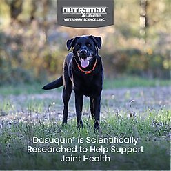 Nutramax Dasuquin Hip & Joint Soft Chews Joint Supplement for Large Dogs, 84 count slide 2 of 9