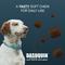 Show in main carousel: Nutramax Dasuquin Hip & Joint Soft Chews Joint Supplement for Small & Medium Dogs, 42 count slide 5 of 12