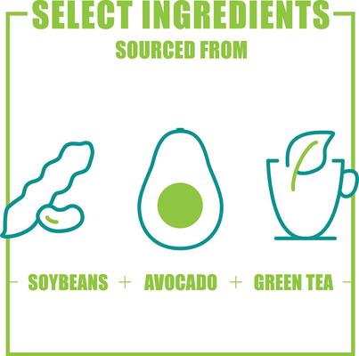 Show full view: Nutramax Dasuquin Hip & Joint Soft Chews Joint Supplement for Small & Medium Dogs, 84 count, bundle of 2 slide 5 of 9