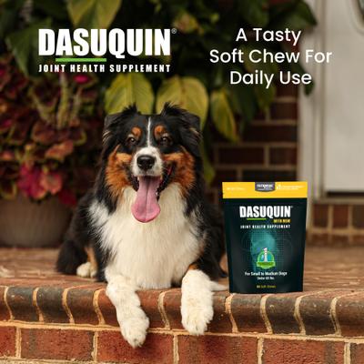 Show full view: Nutramax Dasuquin Hip & Joint Soft Chews Joint Supplement for Small & Medium Dogs, 84 count slide 5 of 12