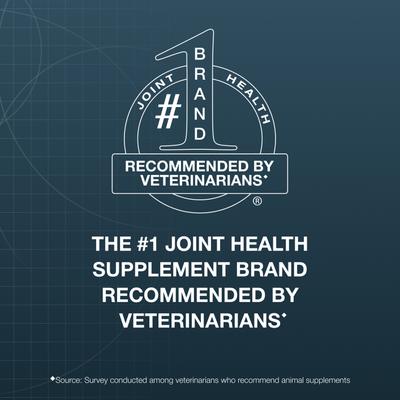 Show full view: Nutramax Dasuquin Hip & Joint Soft Chews Joint Supplement for Small & Medium Dogs, 84 count slide 4 of 12