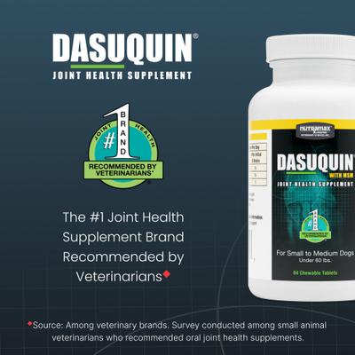 Nutramax Dasuquin Hip & Joint with MSM Chewable Tablets Joint Supplement for Small & Medium Dogs