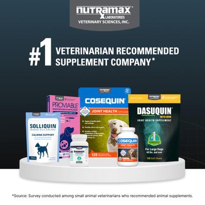 Show full view: Nutramax Dasuquin Hip & Joint with MSM Chewable Tablets Joint Supplement for Small & Medium Dogs, 84 count slide 10 of 13