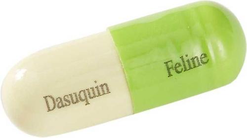 Show full view: Nutramax Dasuquin Joint Health + Proviable-DC Capsules Cat Supplement slide 5 of 9