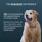Show in main carousel: Nutramax Dasuquin Joint Health Supplement for Large Senior Dogs, 84 count slide 7 of 11