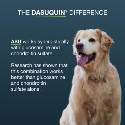 Show full view: Nutramax Dasuquin Joint Health Supplement for Large Senior Dogs, 84 count slide 7 of 11