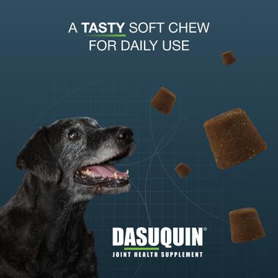 Show full view: Nutramax Dasuquin Joint Health Supplement for Large Senior Dogs, 84 count slide 5 of 11