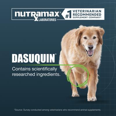 Show full view: Nutramax Dasuquin Joint Health Supplement for Large Senior Dogs, 84 count slide 4 of 11