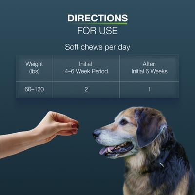 Show full view: Nutramax Dasuquin Joint Health Supplement for Large Senior Dogs, 84 count slide 10 of 11