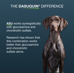 Nutramax Dasuquin with MSM Hip & Joint Soft Chews Joint Supplement for Large Dogs, 150 count slide 2 of 9