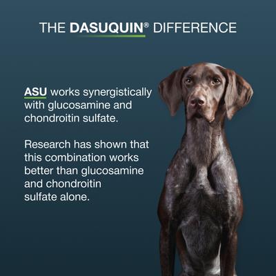 Show full view: Nutramax Dasuquin with MSM Hip & Joint Soft Chews Joint Supplement for Large Dogs, 42 count slide 8 of 13