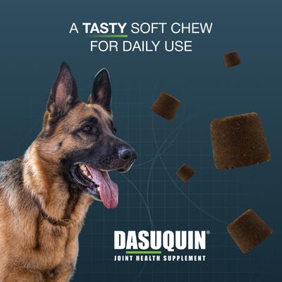 Show full view: Nutramax Dasuquin with MSM Hip & Joint Soft Chews Joint Supplement for Large Dogs, 42 count slide 6 of 13