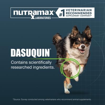 Show full view: Nutramax Dasuquin with MSM Hip & Joint Soft Chews Joint Supplement for Large Dogs, 42 count slide 5 of 13
