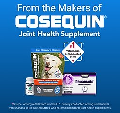 Nutramax Denamarin with S-Adenosylmethionine & Silybin Tablet Liver Supplement for Large Dogs, 30 count bottle slide 2 of 9