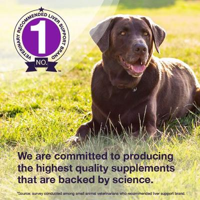 Show full view: Nutramax Denamarin with S-Adenosylmethionine & Silybin Tablets Liver Supplement for Large Dogs, 60 count slide 5 of 13